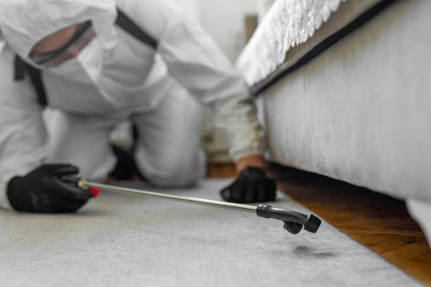 Professional Ant Control technician working in Bayside Gardens, OR